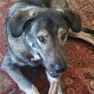 Meet your Posher, Carol